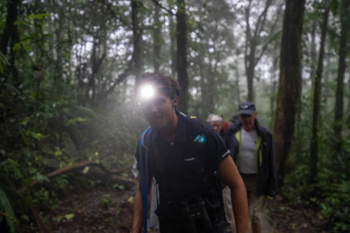 Lucas Boyat guiding travelers with a flashlight in the Monteverde cloud forest