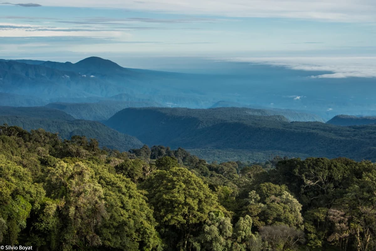 Panoramic view of Braulio Carrillo National Park