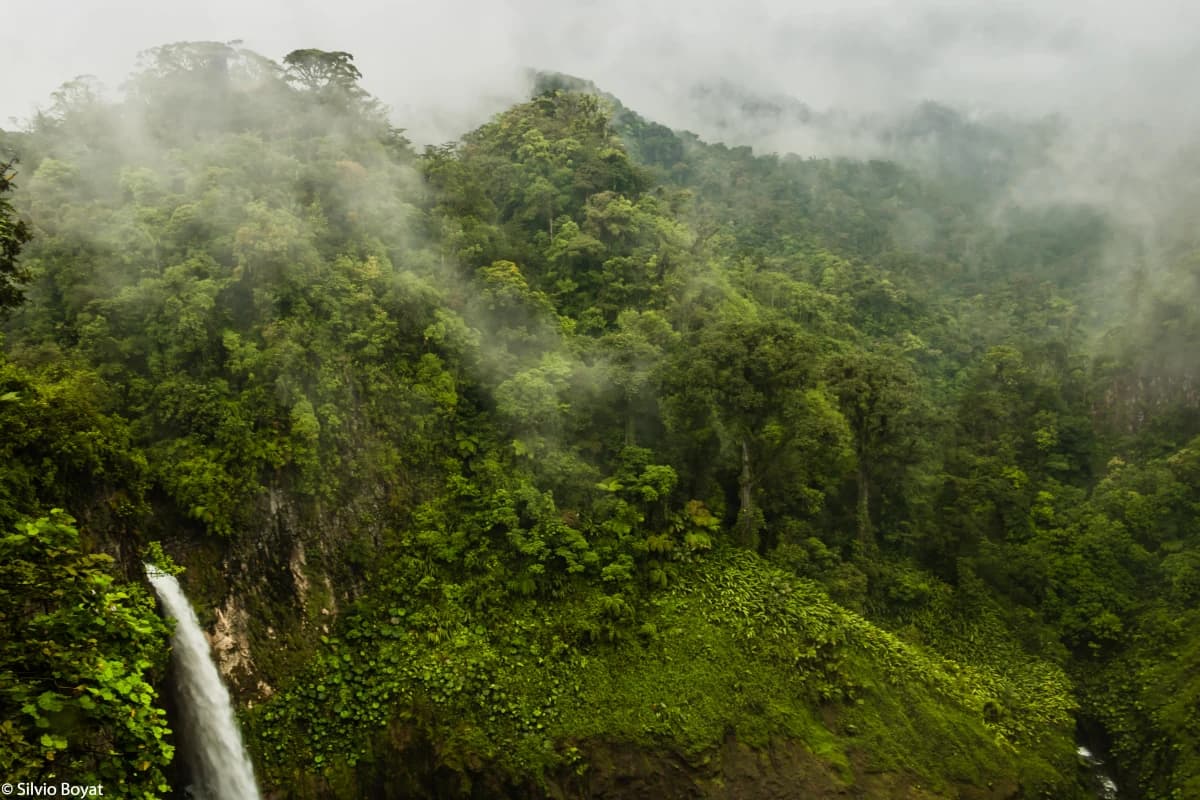 Cloud forest and natural waterfall in Juan Castro Blanco National Park