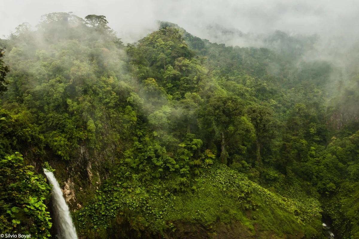 Cloud forest and natural waterfall in Juan Castro Blanco National Park